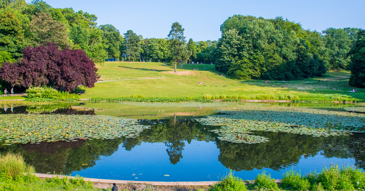 WoluweSaintPierre CurioGuide